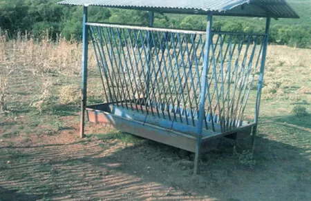 Ταϊστρες αγελάδων χόρτου