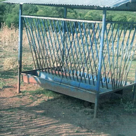 Ταϊστρες αγελάδων χόρτου